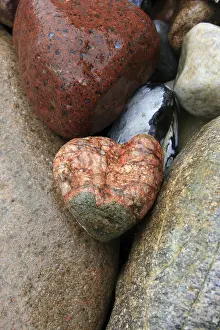 Close Up Heart Drucke: Heart of stone
