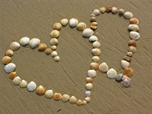 Muschel Drucke: Zwei Herzen aus Muscheln auf Sand.