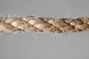 Agricultural Crop Photography Studio Drucke: Hemp rope