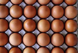 Grocery Store Display Drucke: Hen eggs rows pattern box food background