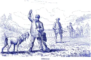 Historical Hunting Scenes Drucke: Hen hunt, partridges, driven hunt