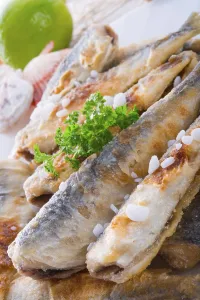 Makrele Drucke: Herrings