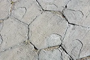 Basalt Columns Drucke: Hexagonal pattern on the top surface of basalt columns at Mammoth Lake