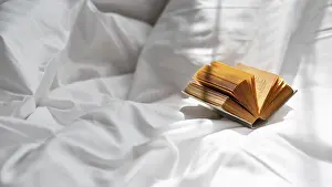 Deserted Bedroom Drucke: High angle book bedsheet
