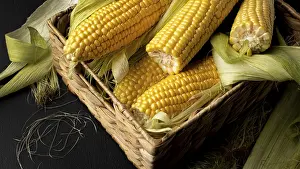 Thai Cuisine Images Drucke: High angle fresh corn composition