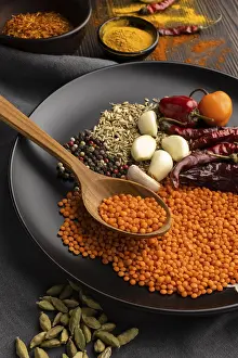 High Angle Food Photography Drucke: High angle indian condiments assortment