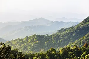 Central Thailand Nature Reserve Drucke: High angle view forest mountain