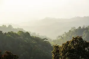 Central Thailand Nature Reserve Drucke: High angle view forest mountain