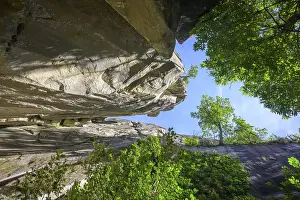 Solitary Tree In Nature Drucke: High cliffs and a tree that defies gravity