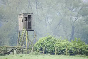 Gerahmter Druck : Hoher Sitz auf einem Wiesen im Frühling. Gerahmter Druck : Hoher Sitz auf einem Wiesen im Frühling.