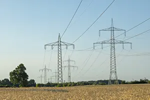 Agricultural Crop Field Drucke: High-voltage pylons, cornfield