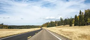 American Nature Reserve Drucke: Highway through forest area with cloudy sky