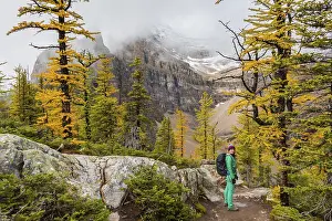 Lake Louise Alberta Drucke: Hiker at the summit of The Beehive