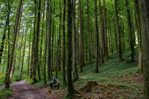 Woman On Bench Drucke: Hikers on a bench in the forest