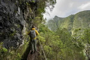 Portugal Hiking Trails Drucke: Hikers on a narrow path along a levada