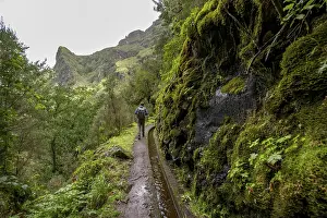 Portugal Hiking Trails Drucke: Hikers on a narrow path along a levada