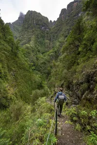 Portugal Hiking Trails Drucke: Hikers on a narrow path along a levada