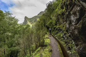 Portugal Hiking Trails Drucke: Hikers on a narrow path along a levada