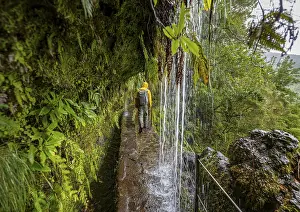 Young Adult Hiker Drucke: Hikers on a narrow path along a levada with a waterfall