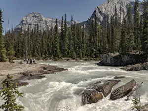 Pine Forest Landscape Photography Drucke: Hikers by a river with rocks surrounded by pine forest
