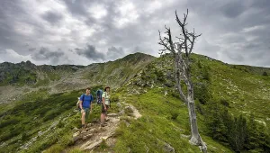 Alpine Sport Activities Drucke: Hikers standing by a dried up tree