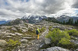 Young Adult Hiker Drucke: Hikers on trail on Table Mountain