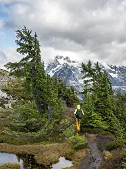 Young Adult Hiker Drucke: Hikers on trail on Table Mountain