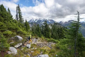 Mt Baker Snoqualmie National Forest Drucke: Hikers on trail on Table Mountain