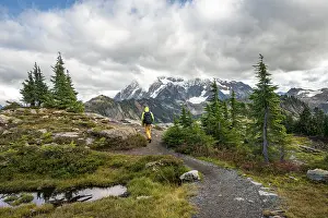 Mt Baker Snoqualmie National Forest Drucke: Hikers on trail on Table Mountain