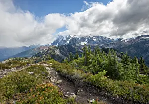 North America Landscape Drucke: Hiking trail on Table Mountain