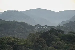Tropical Jungle Landscape Drucke: Hill with dense mountain rainforest