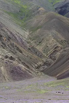 Himalayan Valley Landscape Drucke: Himalayan lowering valley
