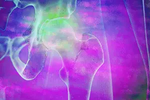Hip Joint Anatomy Drucke: The hip joint is a so-called ball and socket joint because it is round