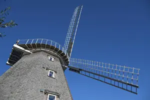 Ahrenshoop Seaside Resort Drucke: Historic windmill, now cafe