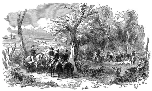 US President History Drucke: Historical drawing from the U.S