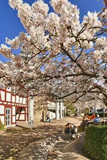 Old Town Square Germany Drucke: Hofheim, Germany