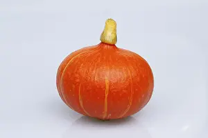 Studio Shot Of Vegetable Drucke: Hokkaido squash