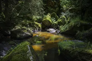 Mountain Torrent Photography Drucke: Hollfall, GroBer Kamp