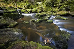 Lower Austria River Landscape Drucke: Hollfall river course in autumn