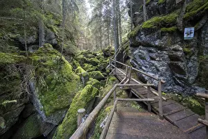 River Landscape Drucke: Holzsteig im Lohnbachfall, Lohn