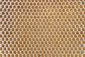 Honeycomb Detail Drucke: Honeycomb