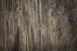 Deciduous Tree Studio Shot Drucke: Horizontal background of raw wood with rusty nails