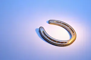 Good Luck Charms Drucke: Horseshoe
