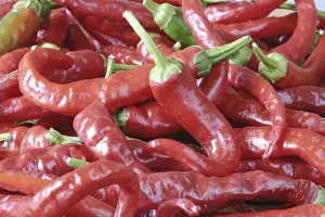 Red Coloured Plants Drucke: Hot red pepper
