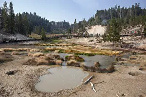 Geothermal Power USA Drucke: Hot springs in the Mud Vulcano Area
