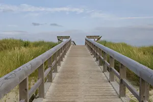 East Frisia Dunes Drucke: Hozsteg to the viewing platform on the dunes