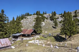 Bavarian Alps Landscape Drucke: Hubertushutte am Breitenstein