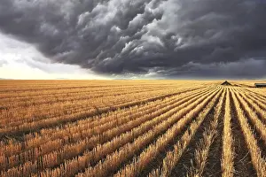 Dark Sky Weather Forecast Drucke: A huge storm cloud is almost completely covered the sky