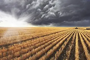 Cloudy Sky Photography Drucke: A huge storm cloud is almost completely covered the sky