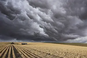 Montana Thunderstorm Drucke: Huge thundercloud on fields of Montana